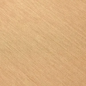 Tapete Warp Beauty 07 Hellbraunbeige Neu