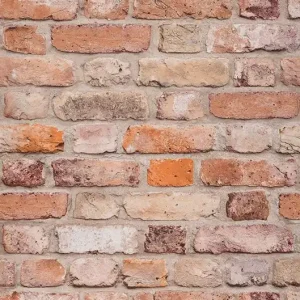 Tapete Castor Orangebraun Markenware