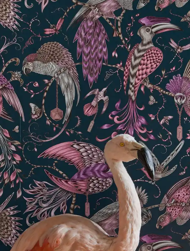 Tapete Audubon Violett Meistverkauft