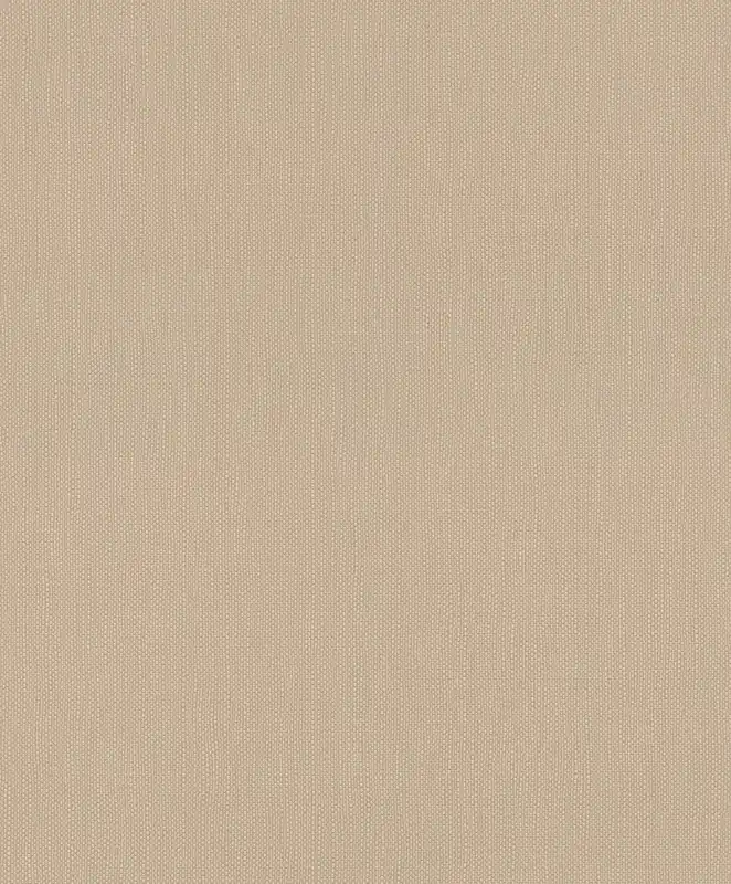 Top-Seller Vliestapete 312416 Beige-Dunkelbeige Uni 10,05 m x 0,53 m