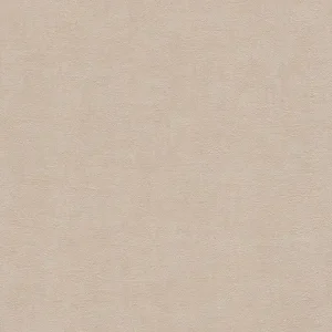 Zertifiziert Rasch Selection, Unis, beige 489934