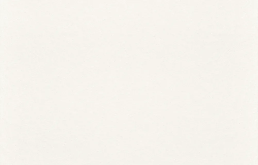 Rasch Profi Malervlies 129809 – 150 g/m² für glatte Wände (25,00 m x 1,00 m) Direktkauf