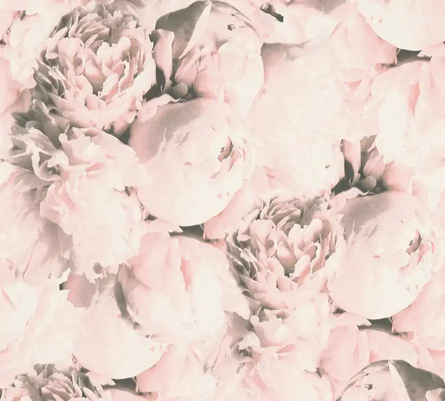 Kracherpreis A.S. Création Neue Bude 2.0 Edition 2, Florale Tapete, rosa, creme 373982