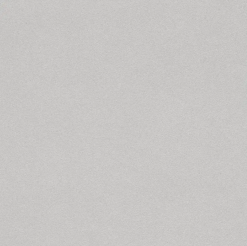 Echt Rasch Selection, Unis, silber grau 479447