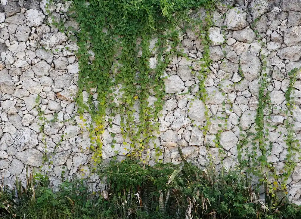 Direktkauf Livingwalls Designwalls 118793