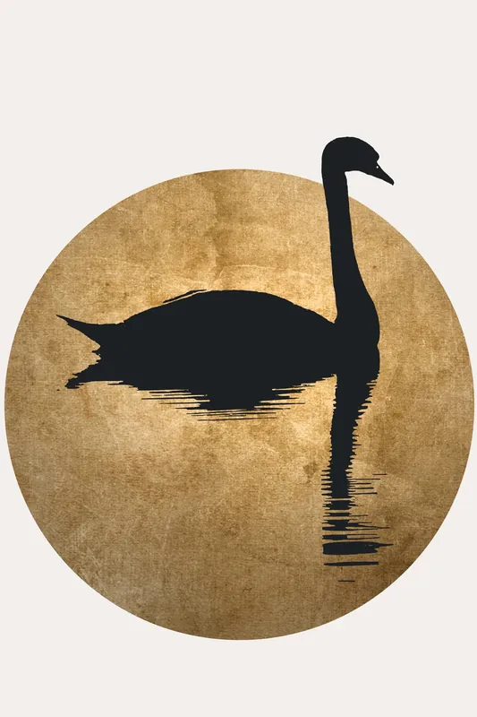 Leinwand The Swan II 30 x 45 cm Billig
