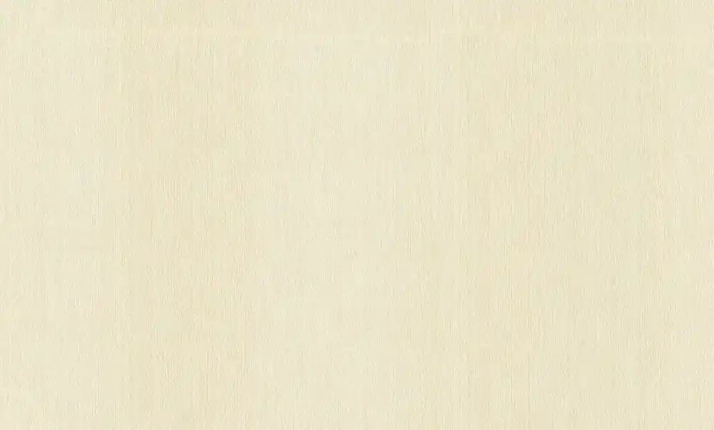 Architects Paper Longlife Colours, Unis, creme 301397 Bestpreis