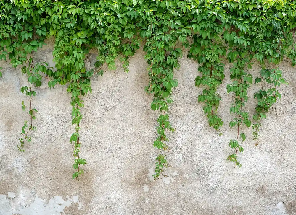 Livingwalls Designwalls 118712 Nur Heute