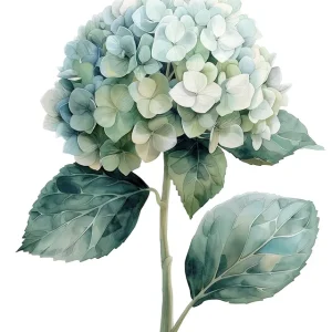 Zertifiziert Leinwand Hortensie Bleue 40 x 50 cm