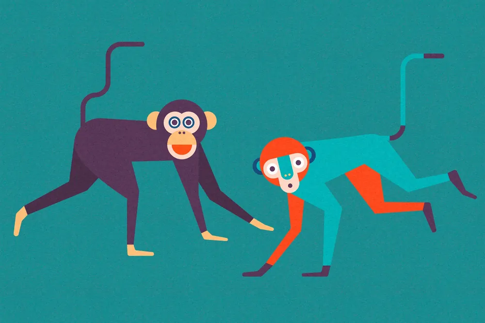 Leinwand Monkey Business I 45 x 30 cm Neu