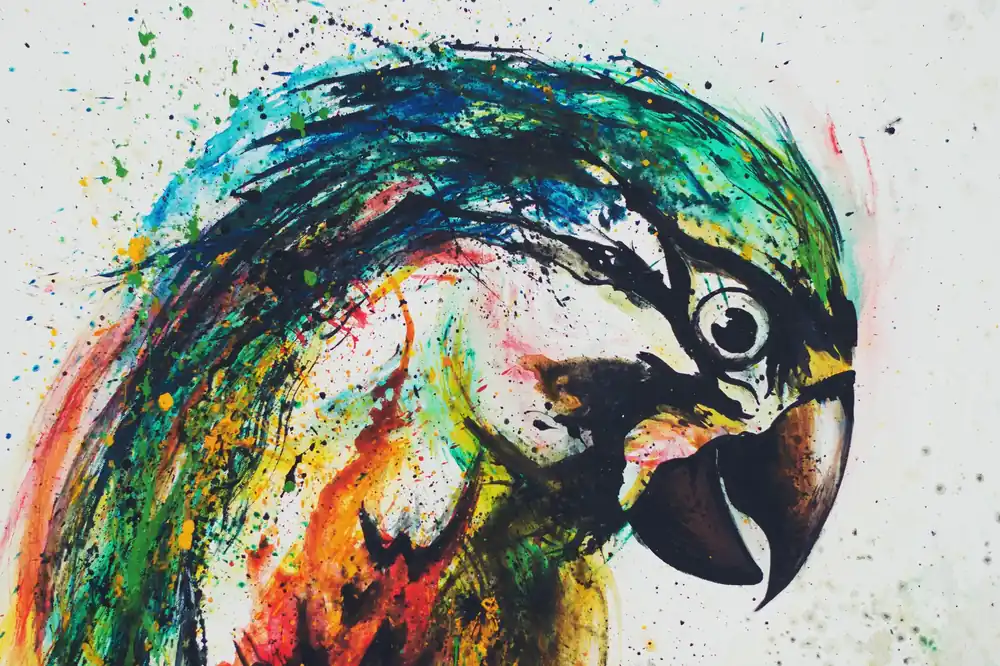 Leinwand Parrot 45 x 30 cm Günstig