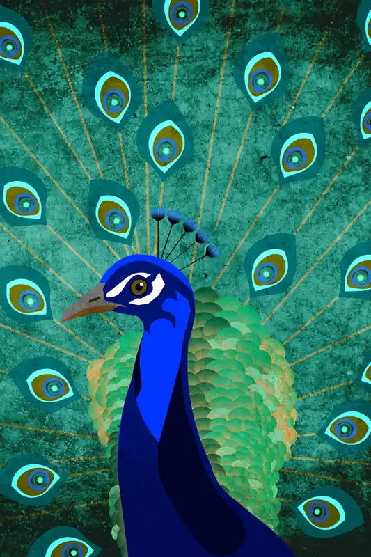 Neu Leinwand Peacock 30 x 45 cm