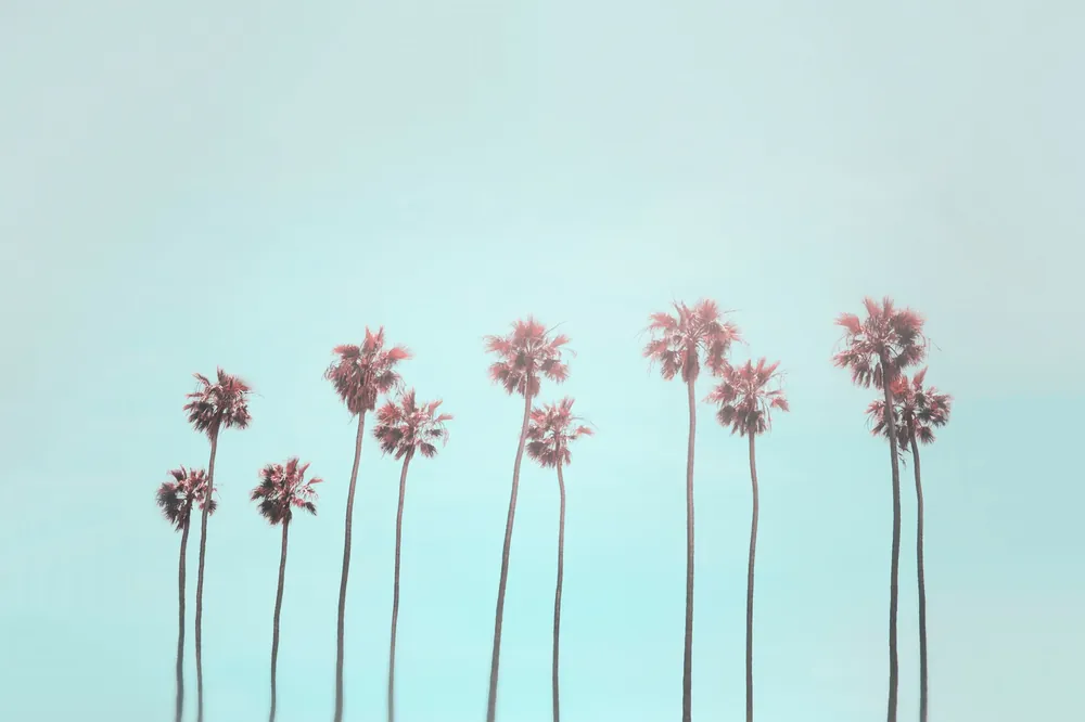 Finale Aktion Leinwand Tropical Trees 45 x 30 cm