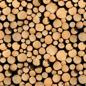 Zertifiziert A.S. Création XXL 5 Fototapete, Holzstämme, 4m x 2,67m DD115664