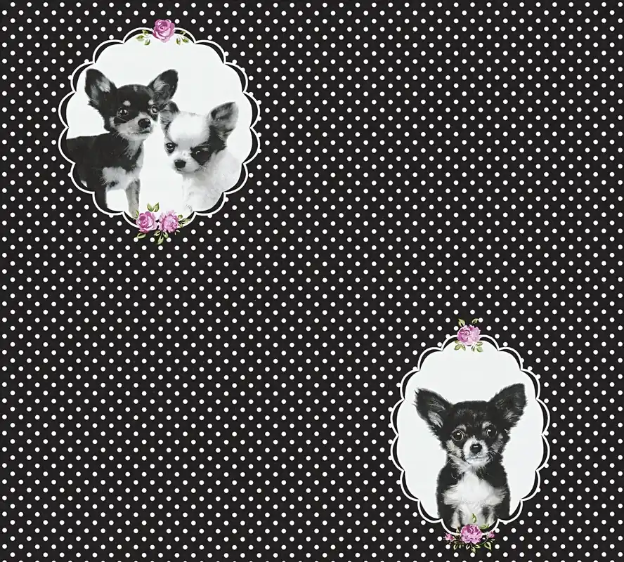 A.S. Création Little Stars, Tapete mit Tieren, schwarz, lila 358512 Direkt Vom Hersteller
