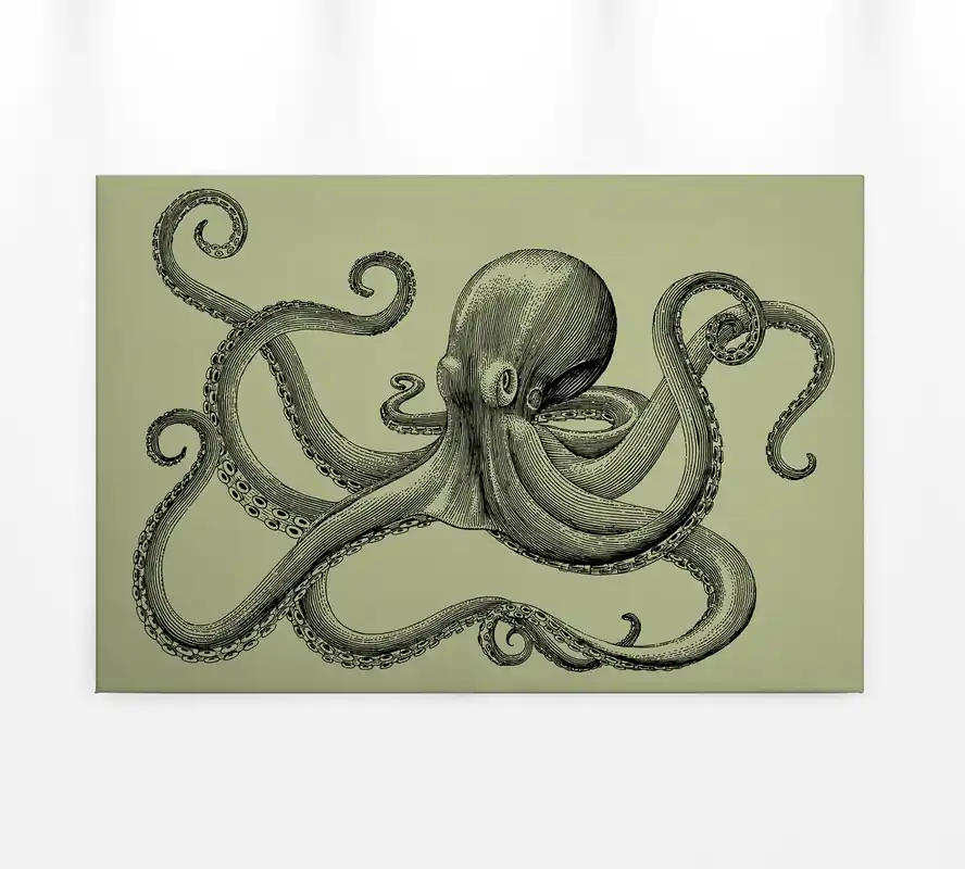 Begrenztes Angebot Leinwandbild Oktopus, olivgrün, 90x60 cm DD120496