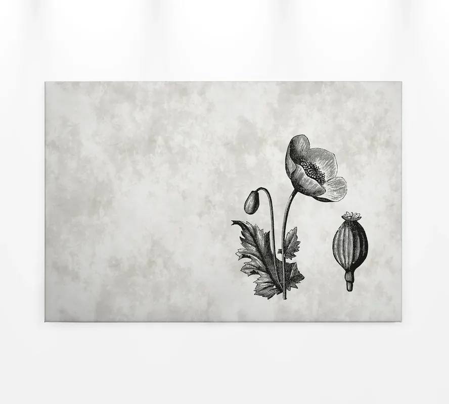 Sofort Bestellen Leinwandbild Mohnblume, grau, 90x60 cm DD120368