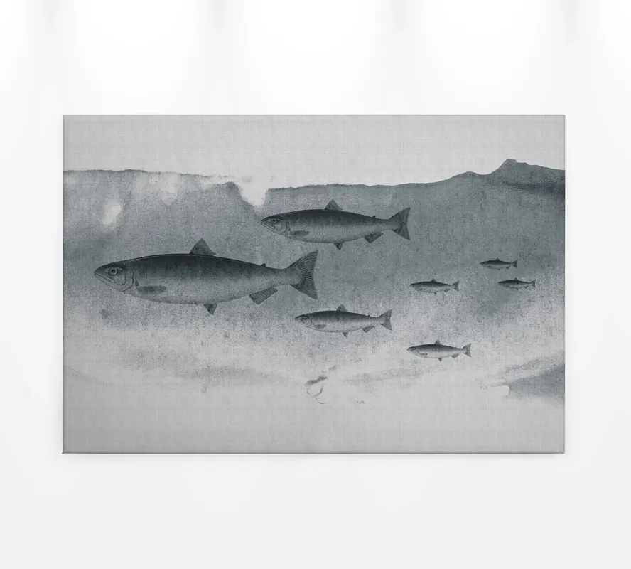 Schnäppchen Leinwandbild Fische, grau, 90x60 cm DD120441