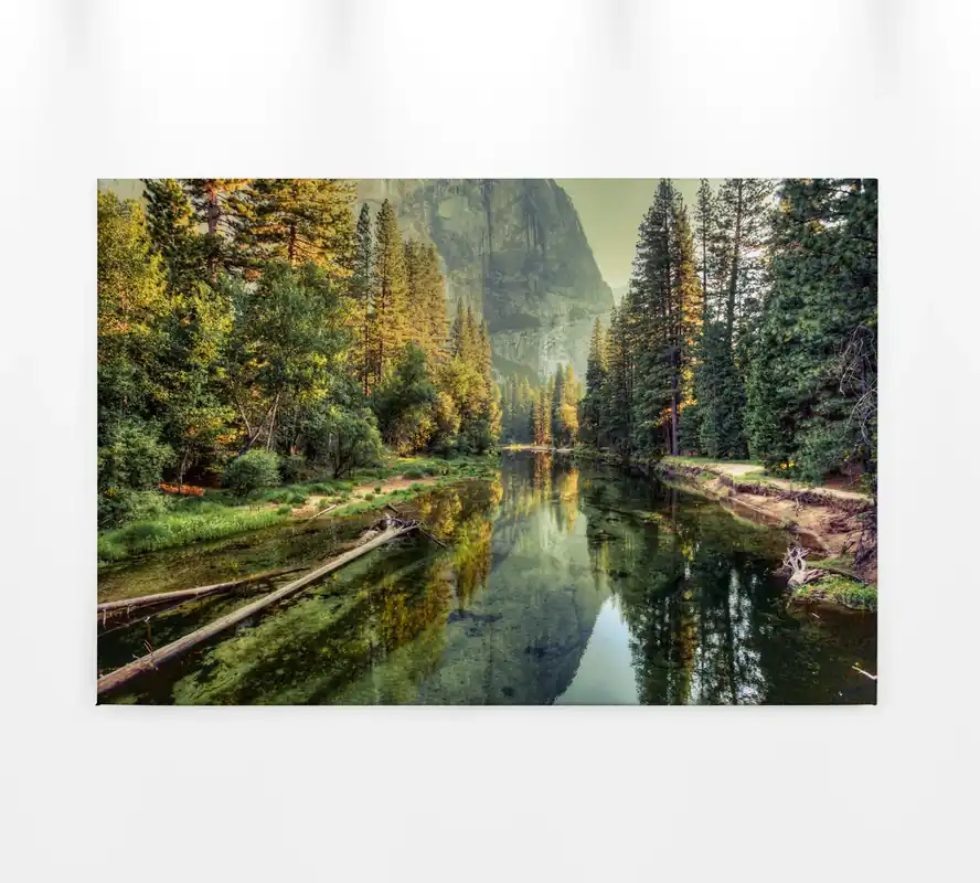 Jetzt Bestellen Leinwandbild Waldlandschaft, 90x60 cm DD120300