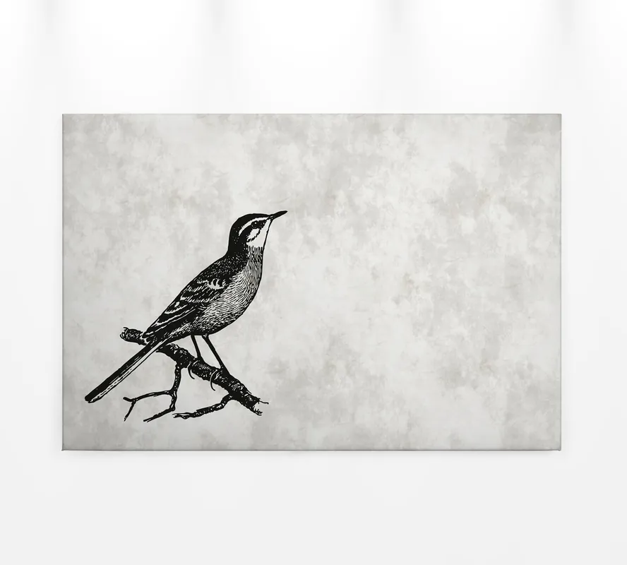 Schnäppchen Leinwandbild Vogel, grau, 90x60 cm DD120366