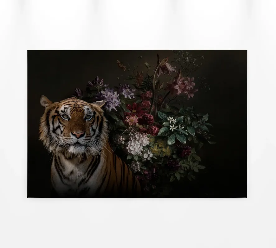Schneller Versand Leinwandbild Tiger, orange, 90x60 cm DD120387