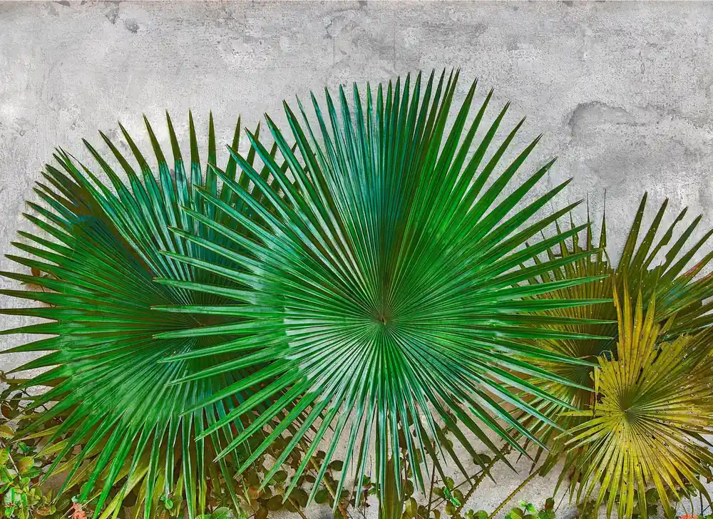 Livingwalls Designwalls 118710 Sonderaktion