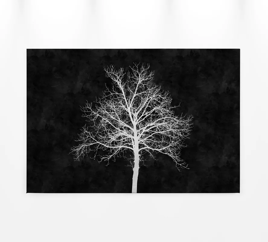Super-Preis Leinwandbild Baum, weiß, 90x60 cm DD120358