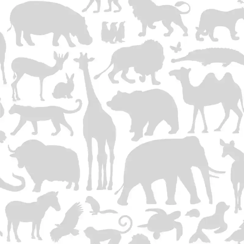 Preisknaller Kinderzimmer Tapeten African Zoo