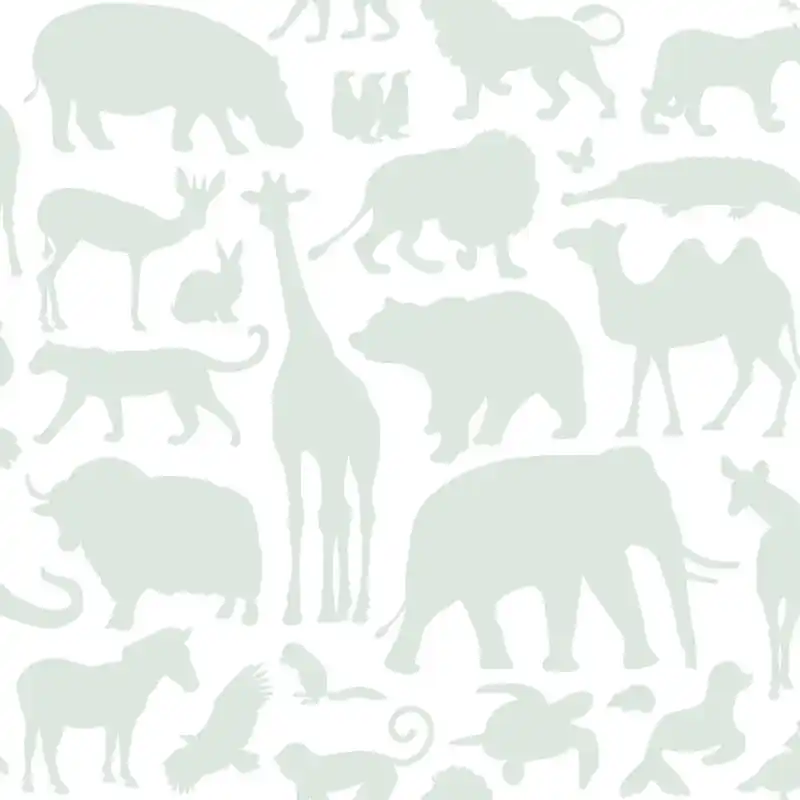 Kinderzimmer Tapeten African Zoo Finale Aktion