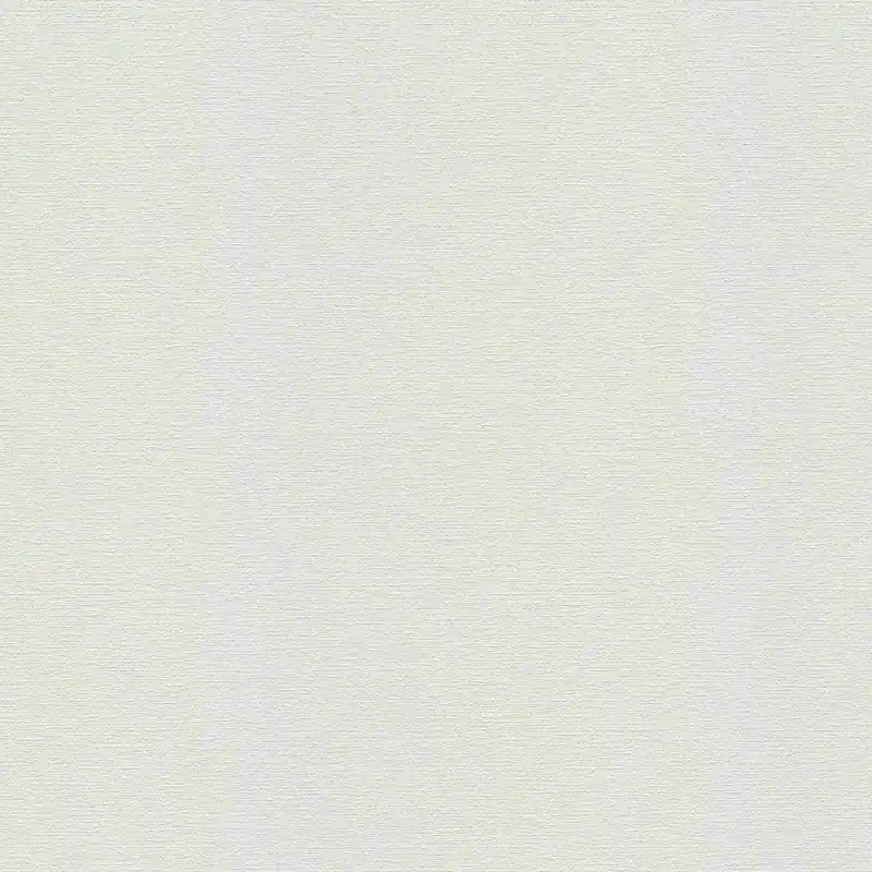 Neue Kollektion A.S. Creation Meistervlies 574916 Vliestapete Überstreichbar Putz 1.06 x 25 m Weiß