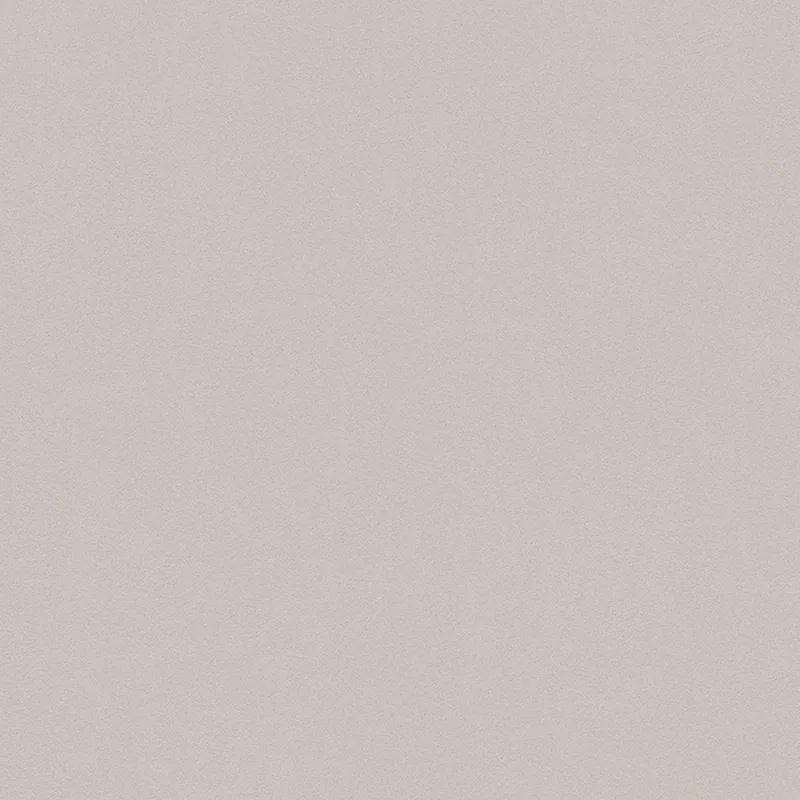 A.S. Creation Spot 3 303288 Vliestapete Einfarbig Uni 0.53 x 10.05 m Grau Rabatt