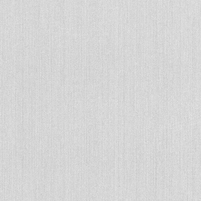 Echt Erismann Paradisio 2 630931 Vliestapete Einfarbig Uni 0.53 x 10.05 m Grau