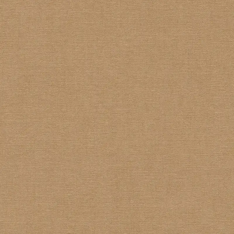 Vliestapete 791659 Braun Orange Uni Einfarbig Pintwalls III A.S. Creation Heißes Angebot