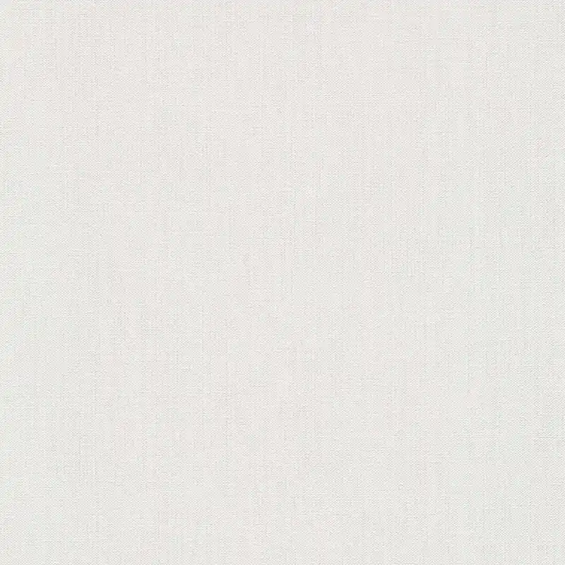 Schnäppchen Vliestapete 1055901 Weiß Uni Einfarbig Forest Dreams Erismann