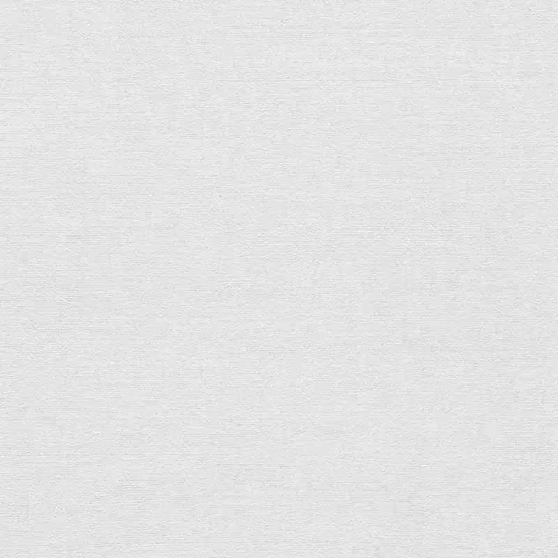 Neu Im Sortiment Vliestapete 1056310 Grau Uni Einfarbig Forest Dreams Erismann