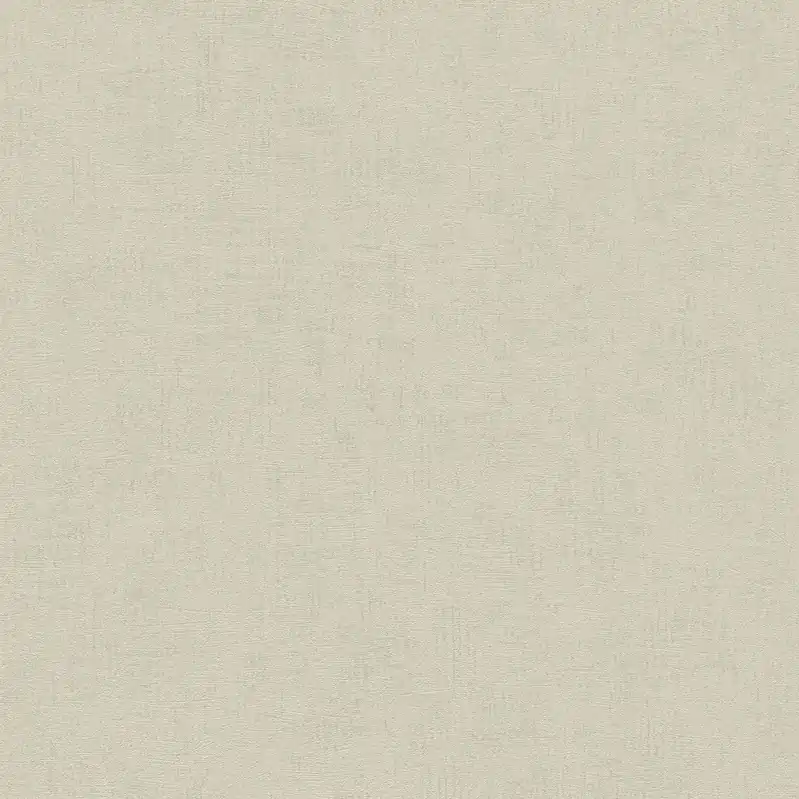 Rabatt A.S. Creation Titanium 3 381971 Vliestapete Einfarbig Uni 0.53 x 10.05 m Beige