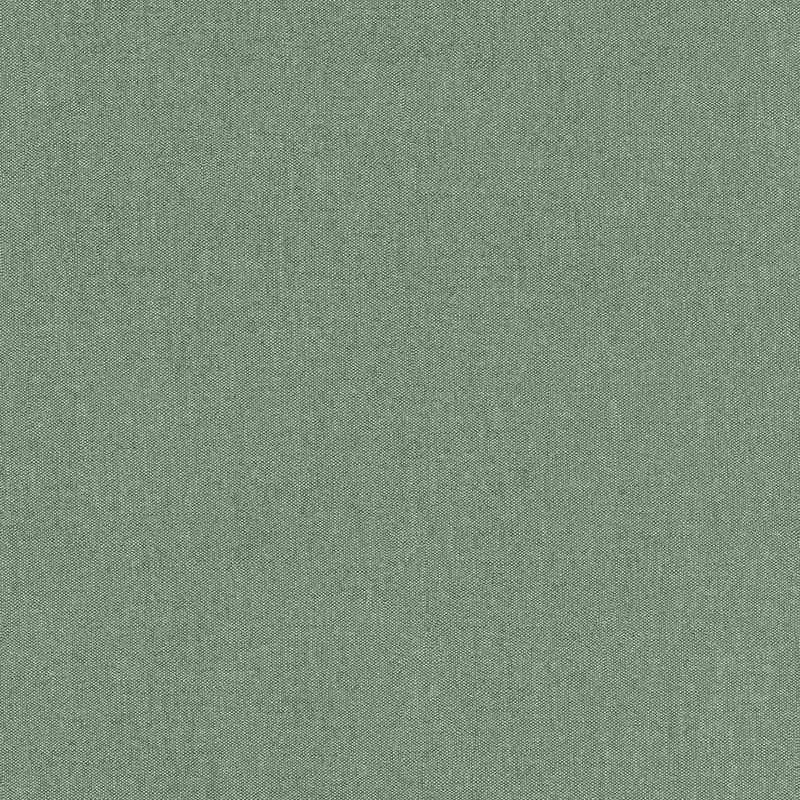 Rasch Color Your Life 633191 Vliestapete Einfarbig Uni 0.53 x 10.05 m Grün Geprüft