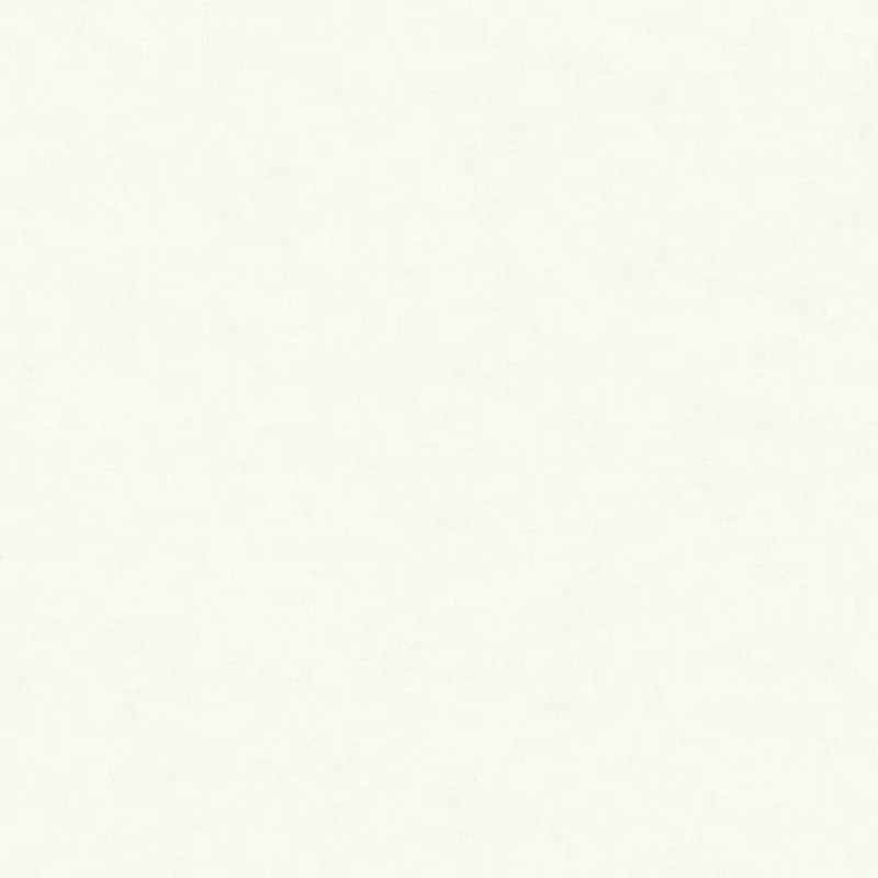 Neue Ware A.S. Creation Paradise Garden 367201 Vliestapete Einfarbig 0.53 x 10.05 m Creme