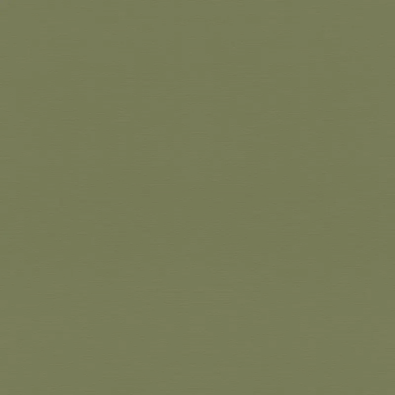 Vliestapete 687538 Grün Uni Einfarbig Country Charme Rasch Heißes Angebot