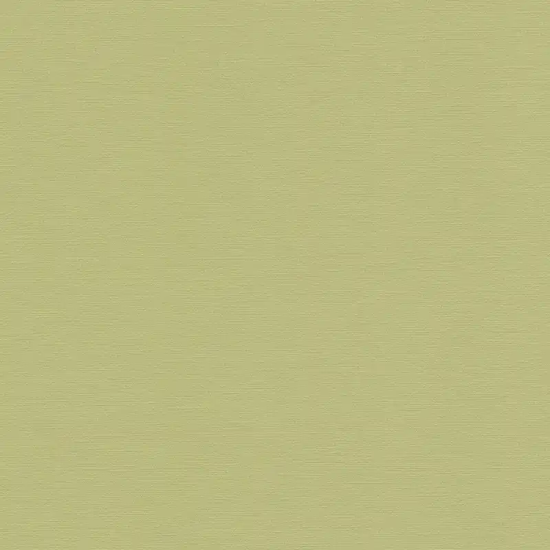 A.S. Creation Antigua 390974 Vliestapete Einfarbig 10.05 x 0.53 m Grün Saisonangebot