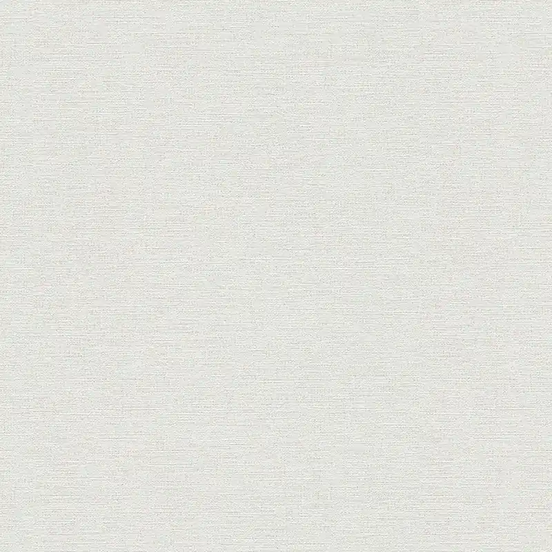 A.S. Creation Trendwall 2 306889 Vliestapete Einfarbig Uni 0.53 x 10.05 m Grau Sofort Bestellen