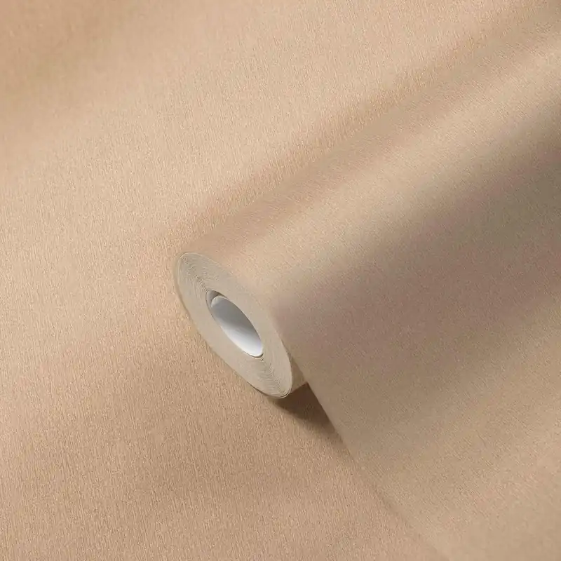 Neue Ware A.S. Creation Dream Flowery 383686 Vliestapete Einfarbig 0.53 x 10.05 m Beige