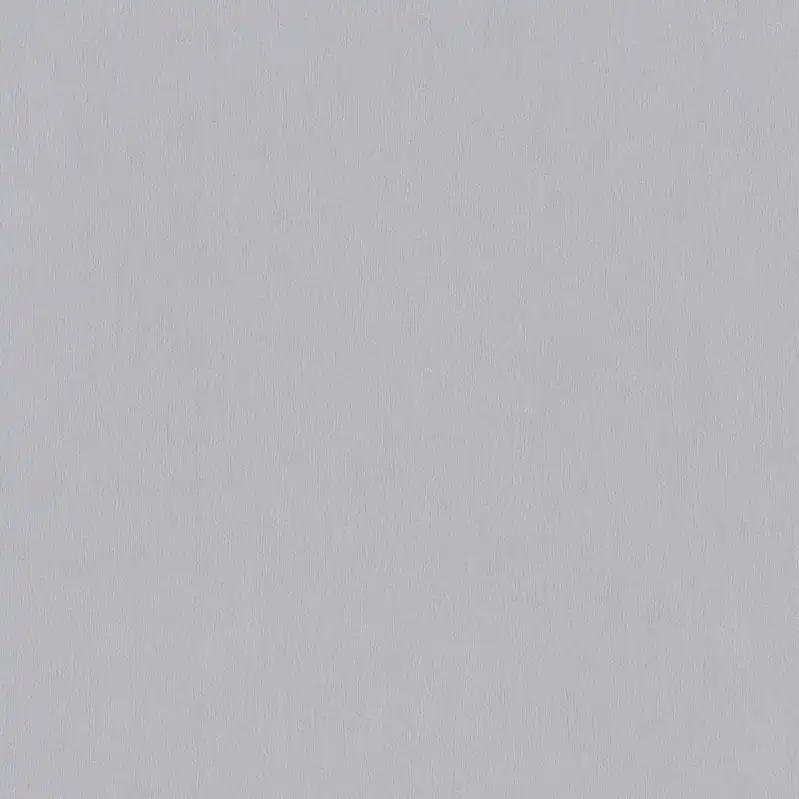 A.S. Creation Dream Flowery 383235 Vliestapete Einfarbig Uni 0.53 x 10.05 m Grau Neu