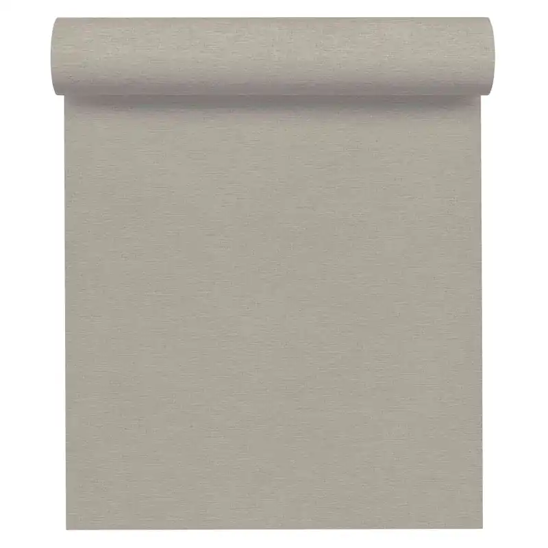 Saisonangebot A.S. Creation Cuba 306894 Vliestapete Einfarbig Uni 0.53 x 10.05 m Grau