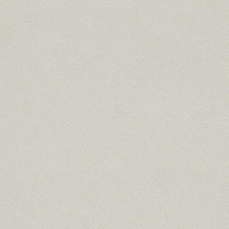 Letzte Chance Rasch b.b Part 5 479430 Vliestapete Einfarbig Uni 0.53 x 10.05 m Beige