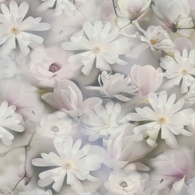 Sale A.S. Creation PintWalls 387223 Vliestapete Blumenoptik 0.53 x 10.05 m Weiß