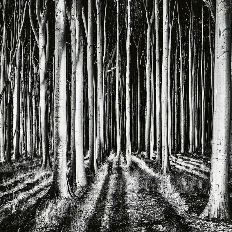 A.S. Creation Designwalls 2.0 DD118939 Fototapete Vlies 384 x 260 cm Abverkauf