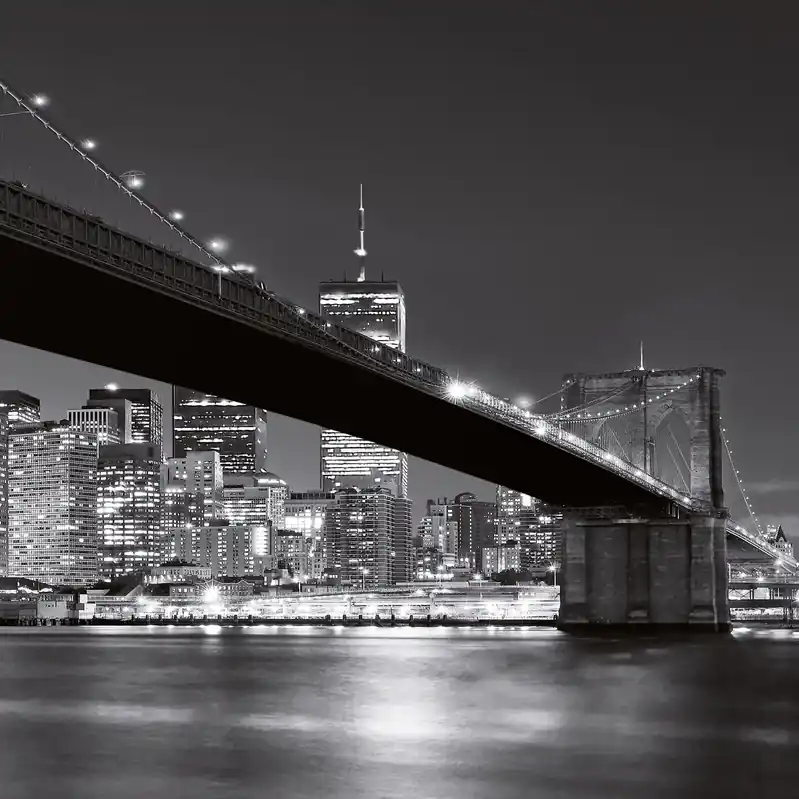 A.S. Creation Designwalls 2.0 DD119100 Fototapete Vlies 192 x 260 cm New York Grau Online Kaufen