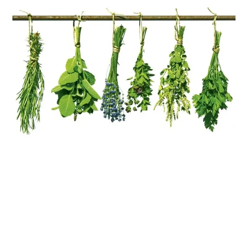 Begrenztes Angebot Dimex Dimex Line MS-2-0240 Fototapete Vlies Versch. Größen Küche Grün
