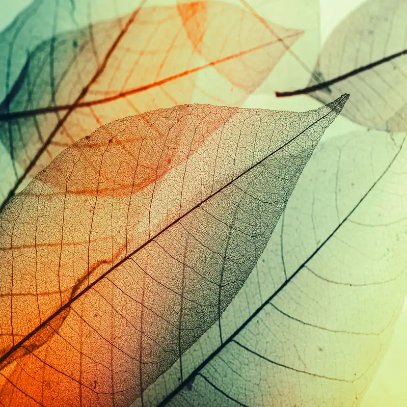 Heißes Angebot A.S. Creation Designwalls DD118588 Fototapete Vlies 350 x 255 cm Natur Bunt